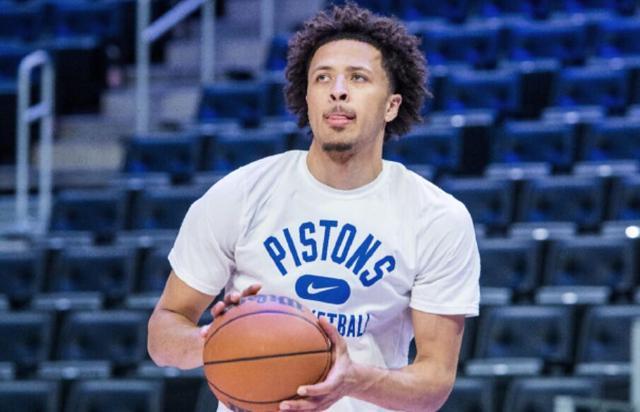 提供了清晰 提供了清晰