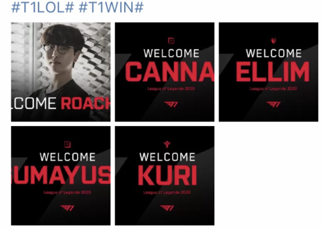 你想要哪种 你想要哪种