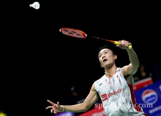 借妖力为躯 借妖力为躯