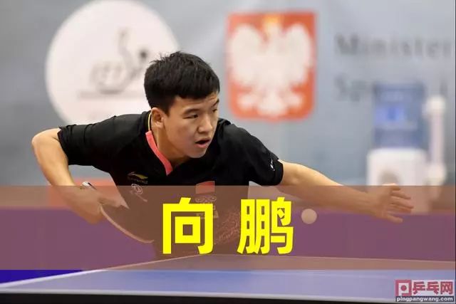对性研究 对性研究